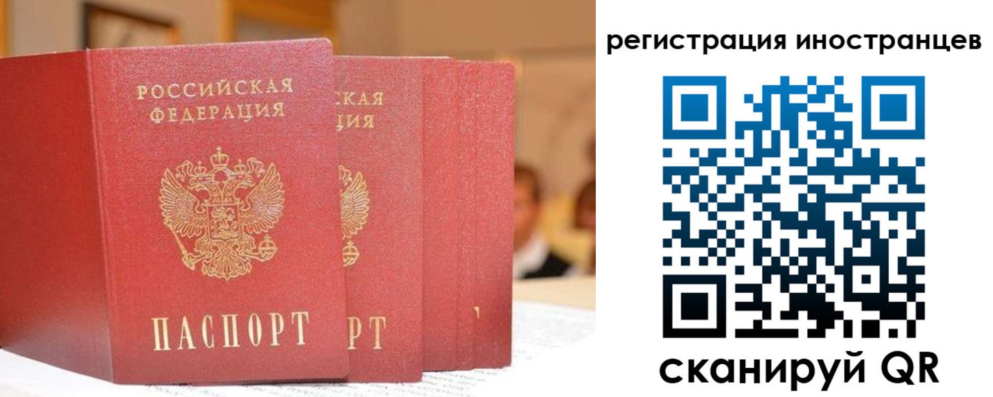 где прописаться в Родниках